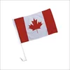 Manufacturer Used Promotional Air Fresh Car Flag
