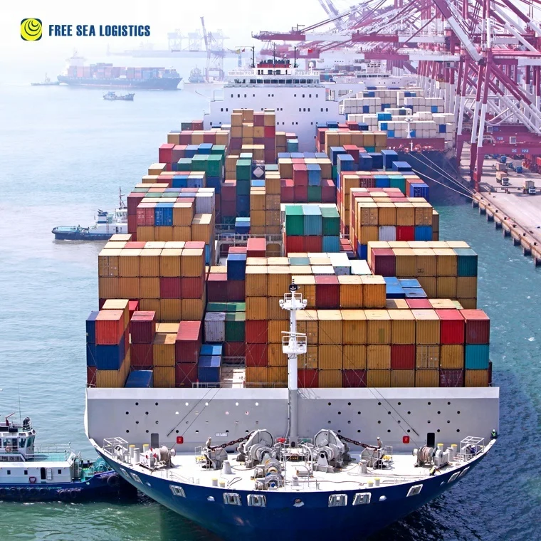 
air and sea container import export custom clearance freight forwarder 