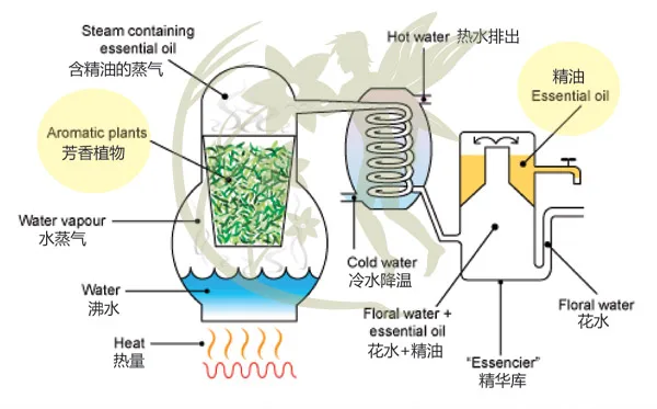 distillation (1).jpg