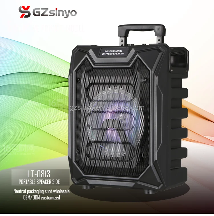 LT-0813 speakers (1)