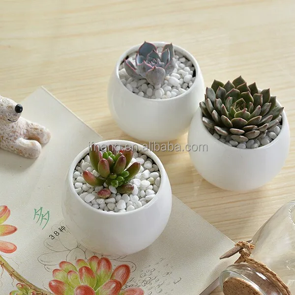 

2 inch indoor mini white ceramic flower pot