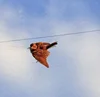 birds nets for catching canary/ bird mist net/Network Poultry bird catching