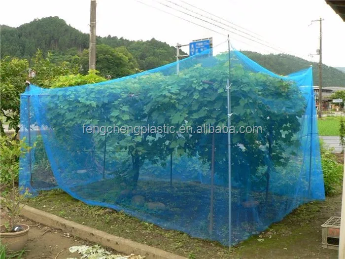 China Factory Supply Farm Insect Netting,White Fly Insect Net Anti Aphids Net,Insect Netting For