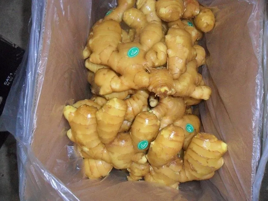 fresh ginger 