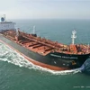 best fcl/lcl sea freight forwarder shipping agent shenzhen/guangzhou logistics companies to dubai uae