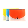 A4 size of 13 pocket colorful clear PP index handle document file folder with strainer