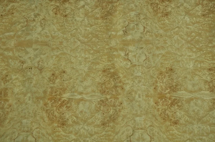 golden camphor burl.JPG