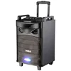 Newly 10 inch woofer hometheater system portable wireless speaker
