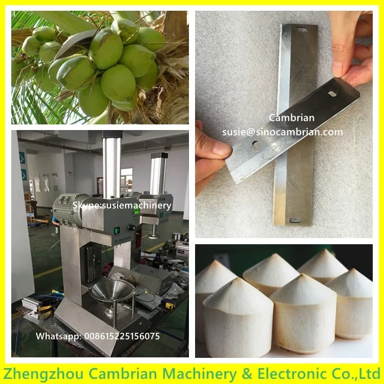 Laser Carving Engraving Machine Coconut Cutting Of Co2 Laser Buy