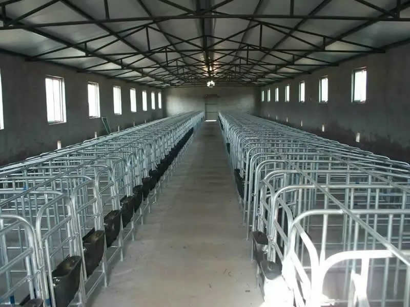 China Factory Pig Cage Pig Gestation Stalls
