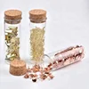Office Learning Supplies Office Stationery Binding Supplies Files Documents clips, push pins
