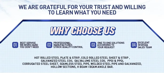 choose.JPG
