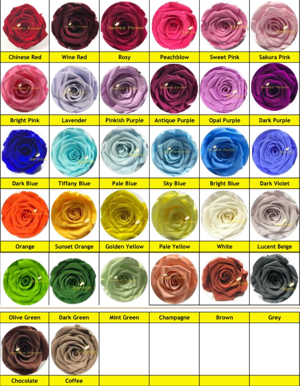 Garden Rose Color Chart