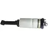 Air Suspension Front With Sensor For Range Rover SPORT(2010-2013) OEM LR019993 Auto Spare Parts