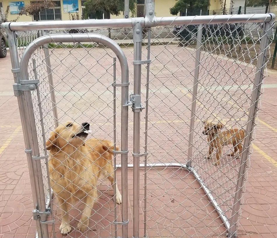 Lowes Dog Kennels And Runs/cheap Chain Link Dog Kennel Wholesale/large