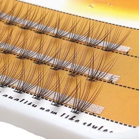 

New Design 2D 3D 4D 5D 6D Cluster Eyelash Extension With Private Label