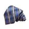 Factory wholesale party supplies strip silk pleated ties