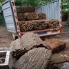 selected aquarium landscaping decoration bark, aquarium decorative root
