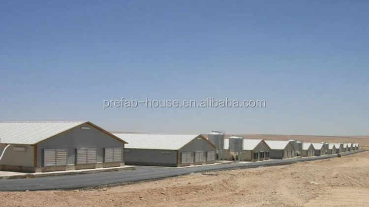 Steel Structural Glass Wool Dairy Farming Shed Designs