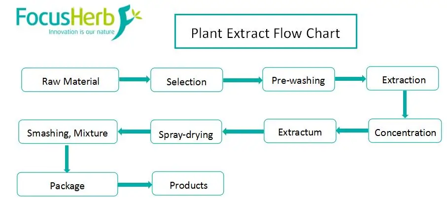 Plant Extract flow chart