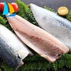 Well taste and well done seafood fresh frozen mackerel fillet