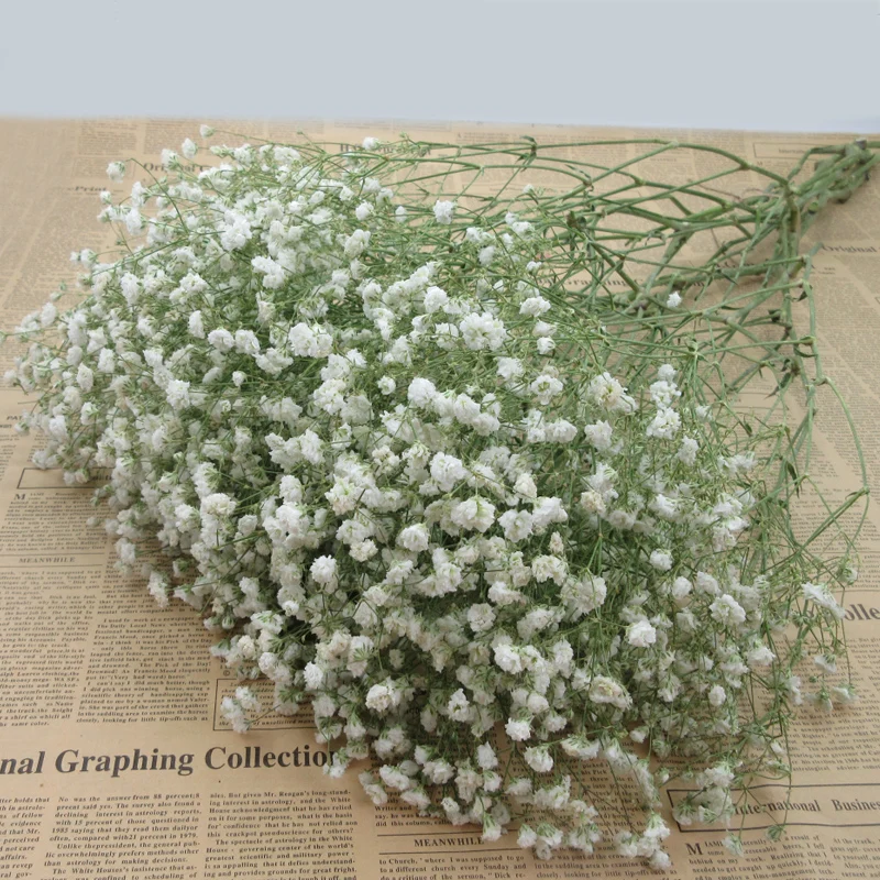 Artificial Babybreath Flor Hermosa Gypsophila Flores Artificiales Aliento De Bebe Planta De Casa Decoracion De La Boda Buy Flor Artificial De Alta Calidad Ultima Decoracion Para Bodas Gypsophila Y Babysbreat Product On Alibaba Com