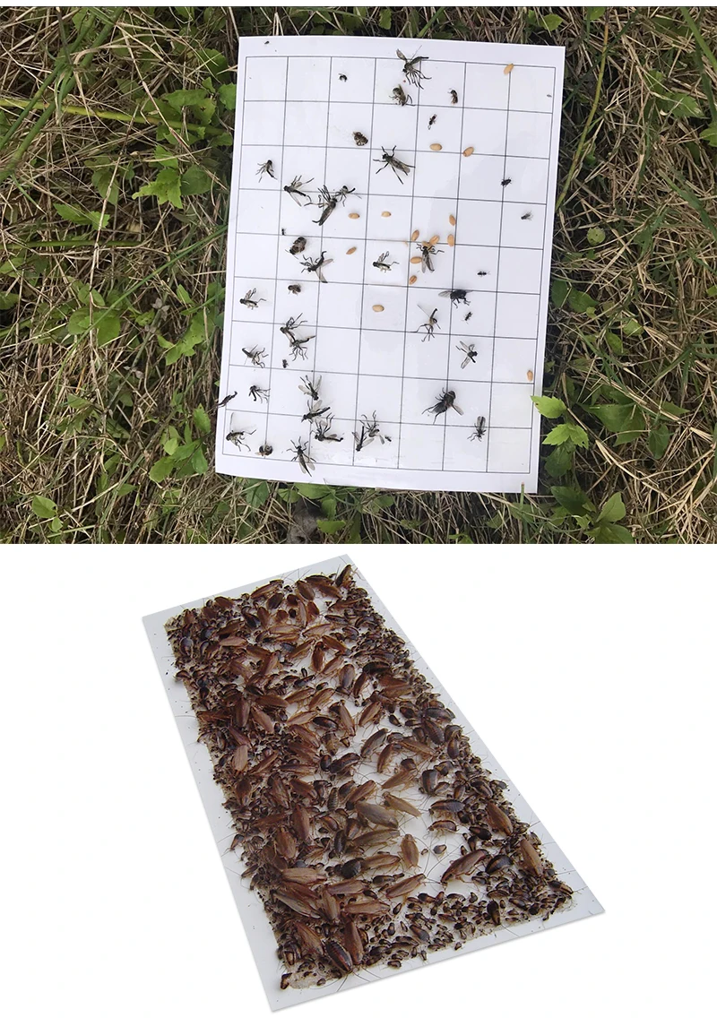 Stickers Patch Paper (2).jpg