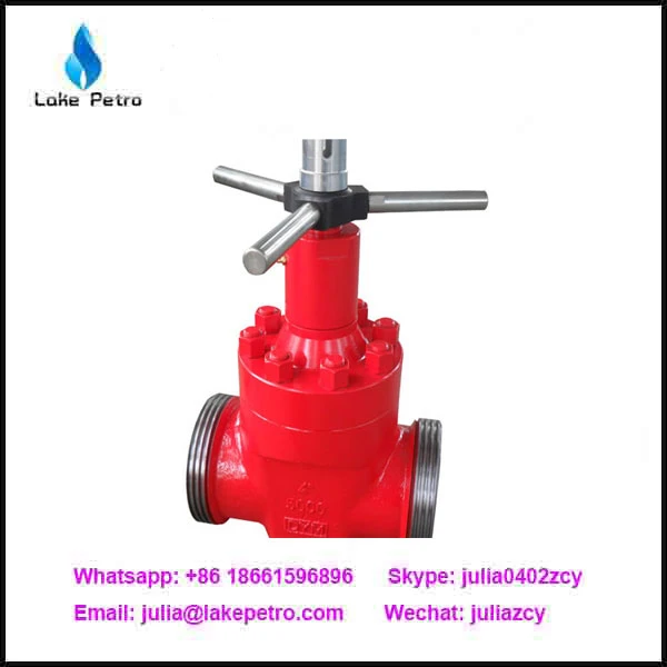 China Price API 6A Mud Gate Valve