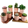 Antique style custom logo cheap wholesale mini plant pot / ceramic cactus pots for home decor