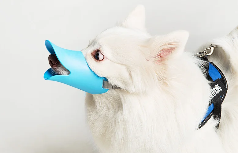 Funny Muzzles For Dogs Custom Fashion Dog Muzzle And Dog Mouth Set ...