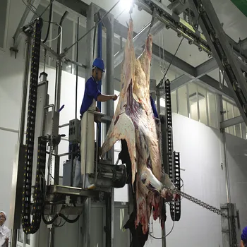 muslim halal cattle slaughter line slaughterhouse machine design