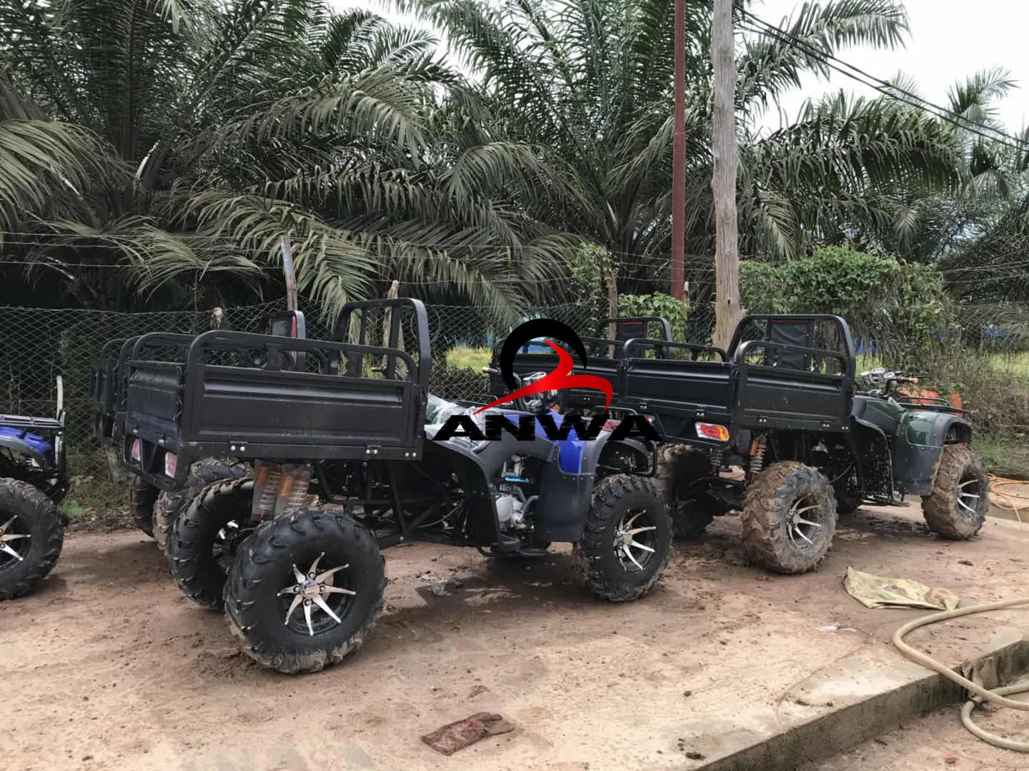 Customer Show (4).jpg