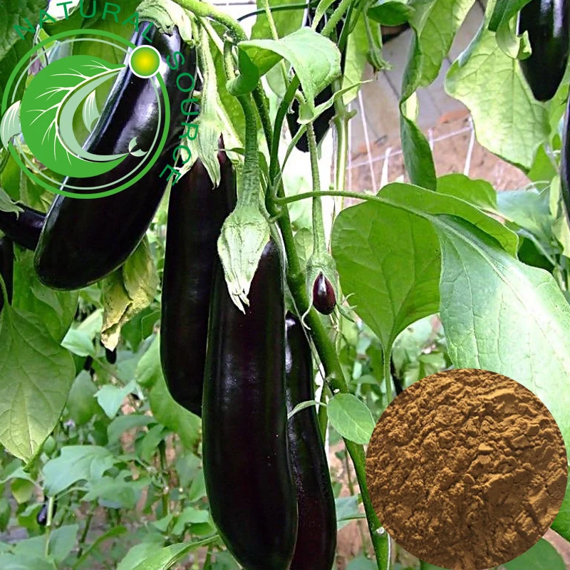 Wholesale High Quality Best Price Freeze Dried Natural Dehydrated