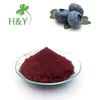 Water Soluble Blueberry Juice Powder
