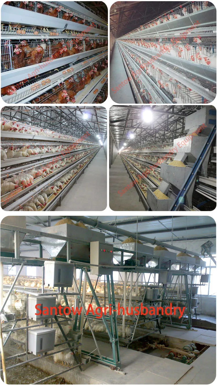 Poultry design layer chicken cages 128 layers per set