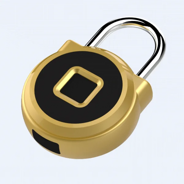 
2019 new smart digital padlock elinksmart P5B remote APP fingerprint padlock 