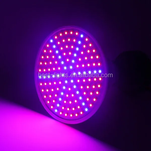 grow led light.jpg