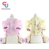 Lace Sleeve Jacket with Plush Bone Dog Clothes Winter Multi Sizes Dog Clothes Pet Accessories