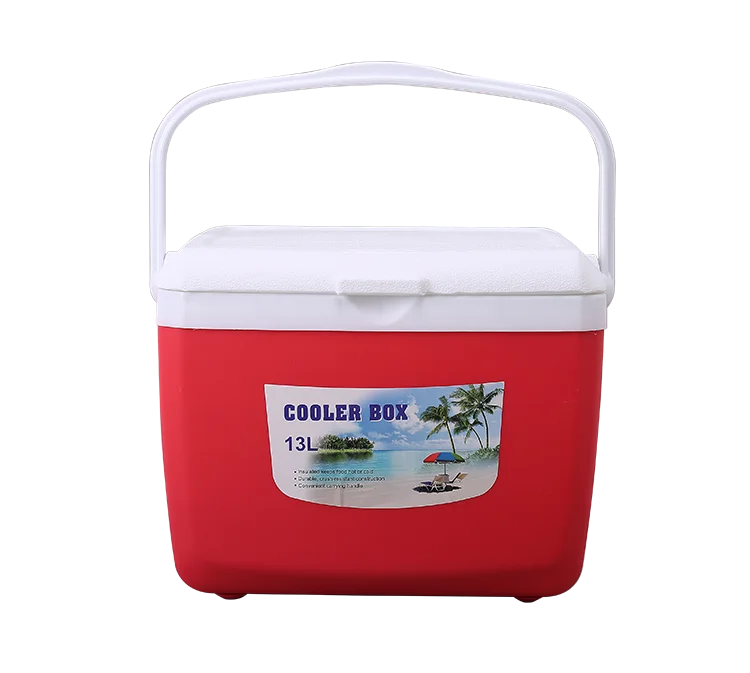 Promotional Plastic Ice Freeze Box 13l Car Cooler Box For Travel Buy