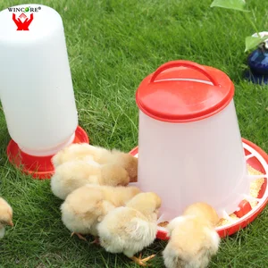China Eco Chicken China Eco Chicken Manufacturers And Suppliers