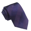 Popular Men's Polyester Ties