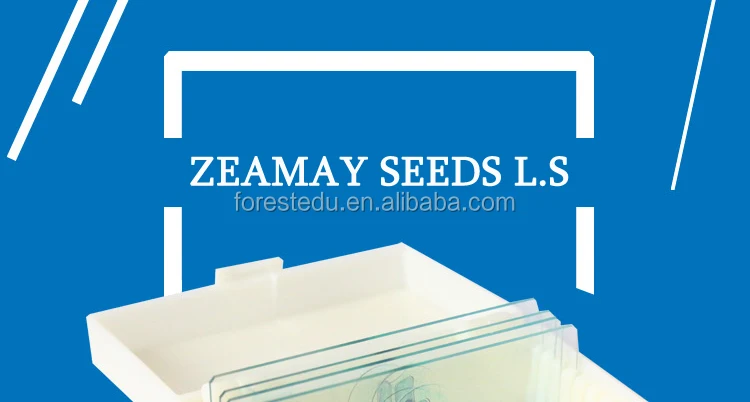 1 microscope slides 7101.jpg