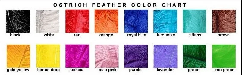 COLOR CHART.png