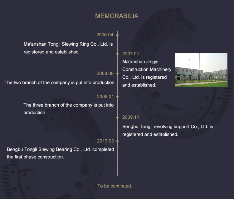 Slew Ring Manufacturer For Shipboard Cranes