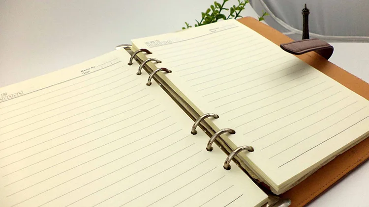 3208755832_1685236401