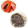 Mu gua 100 % Quality Top Brand high Budding Rate buy papaya seeds hybrid