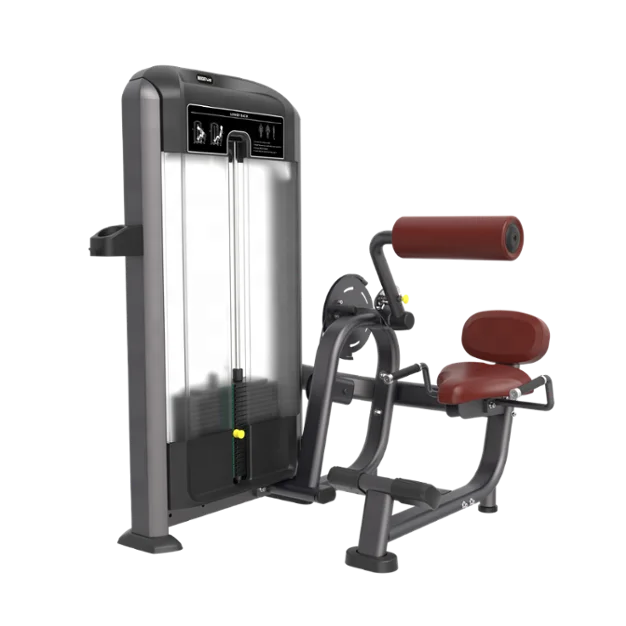 

Gym equipment home fitness trainer TF11 functional standard back extension machine