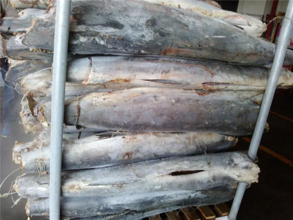 frozen striped marlin fish