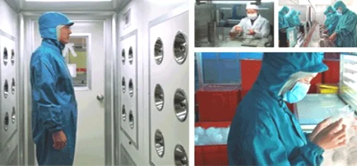 
Food Grade Pure Natural high quality pure Organic Hemp protein powder 