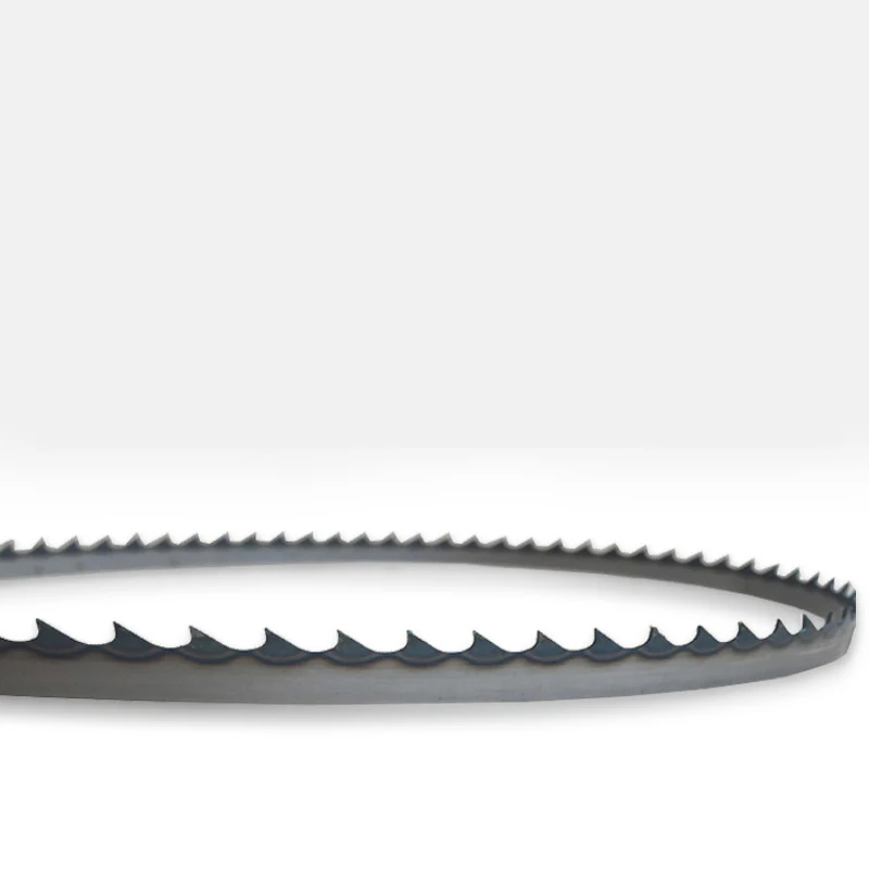 Band Saw Blade 1.jpg
